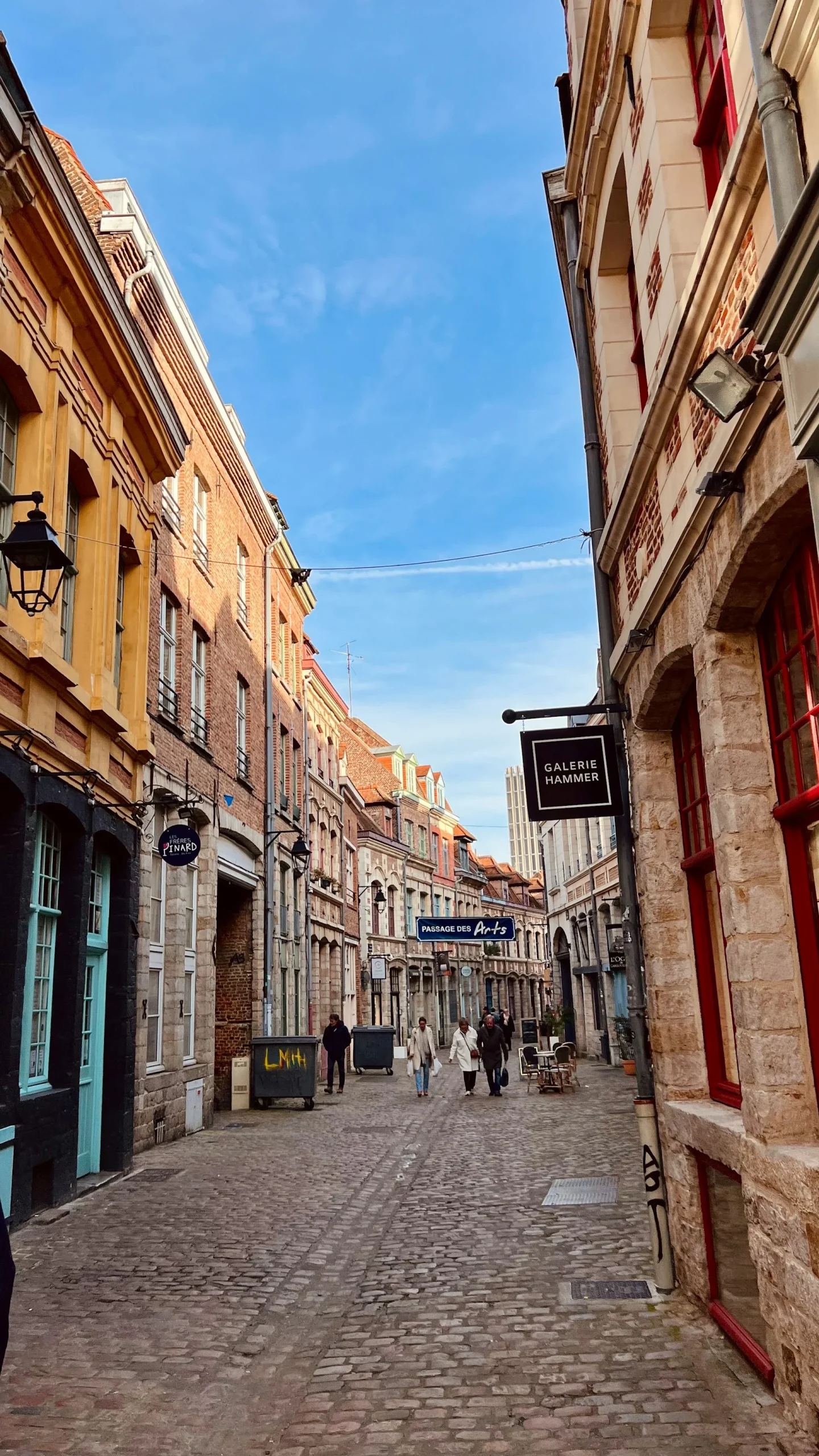 Rue commerçante d'un quartier de Lille